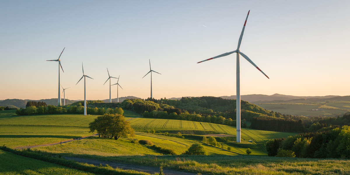 wind-turbines-in-field.png